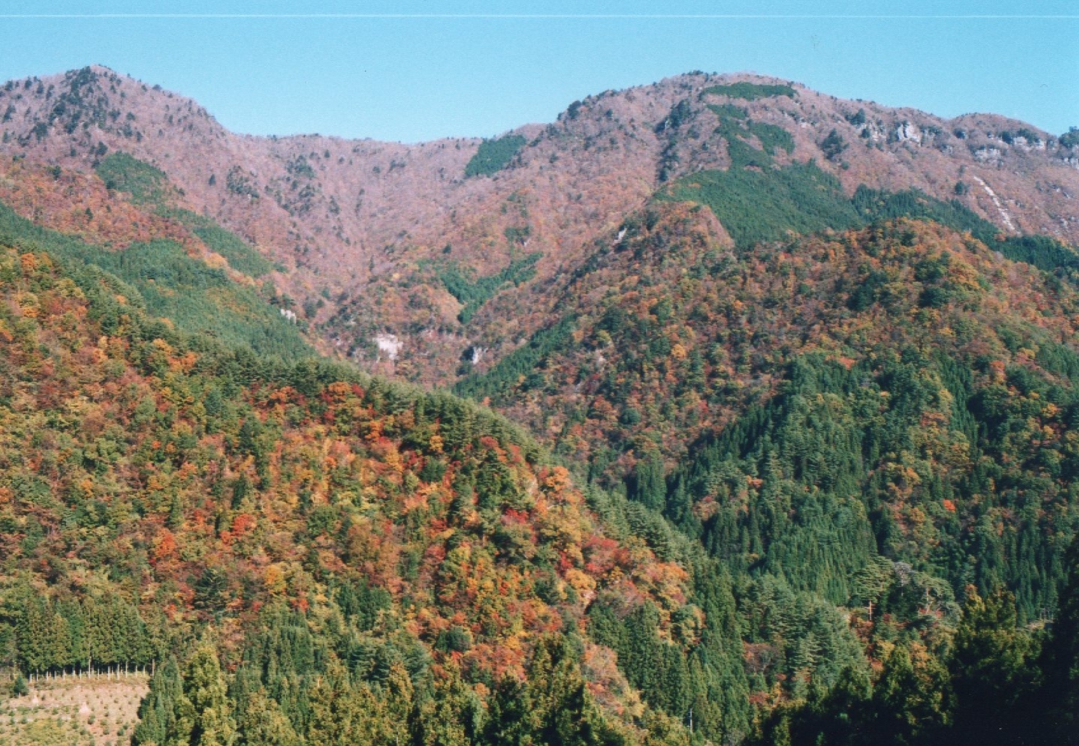 中央右の断崖絶壁の山が津志嶽１４９６ｍ。昭和４６年１８０人の生徒達と遠足で登る。